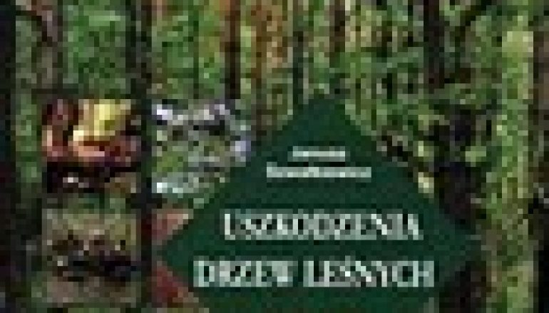 Uszkodzenia drzew leśnych