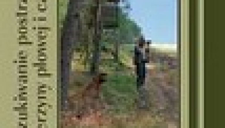 Poszukiwanie postrzałków zwierzyny płowej i czarnej