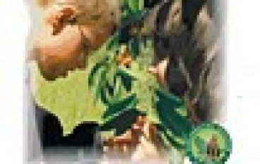 „Leśna Przygoda”