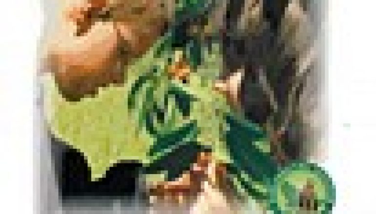 „Leśna Przygoda”