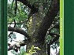 Dąb szypułkowy i bezszypułkowy