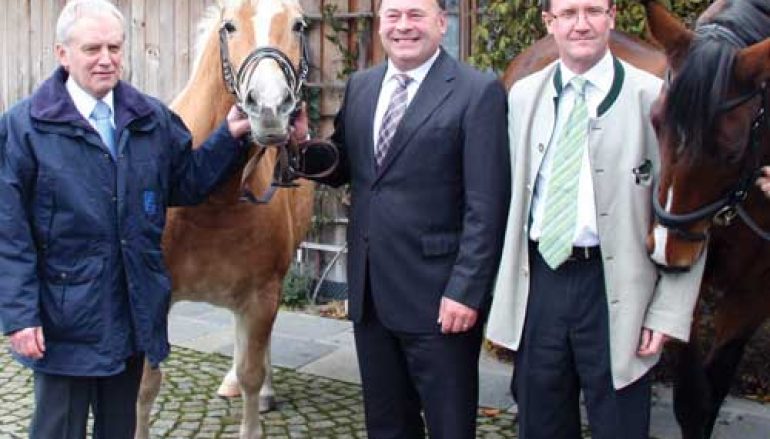 Niemcy – Jeźdźcy w bawarskich lasach