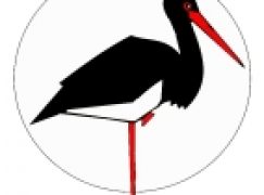 Ekosystemy reprezentatywne – stanowisko Klubu Przyrodników