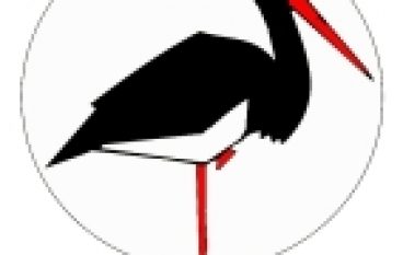 Ekosystemy reprezentatywne – stanowisko Klubu Przyrodników