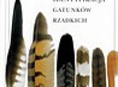 Pióra. Identyfikacja gatunków rzadkich