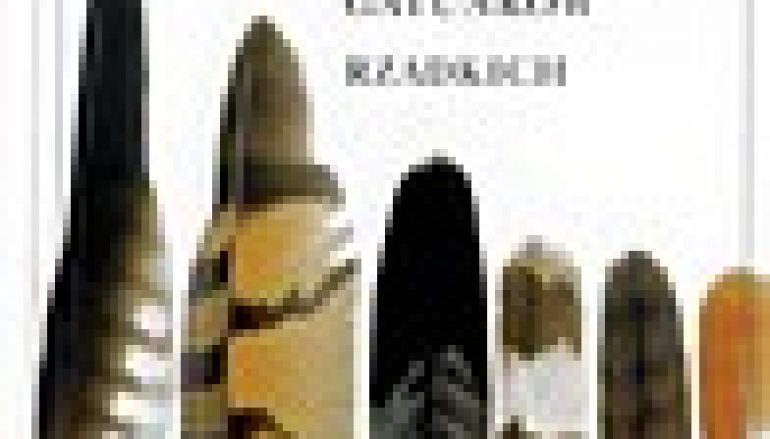 Pióra. Identyfikacja gatunków rzadkich