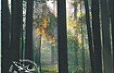 Kampinoski Park Narodowy. 50 lat.