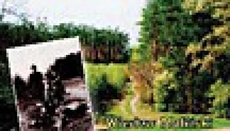 Śladami leśnych ścieżek