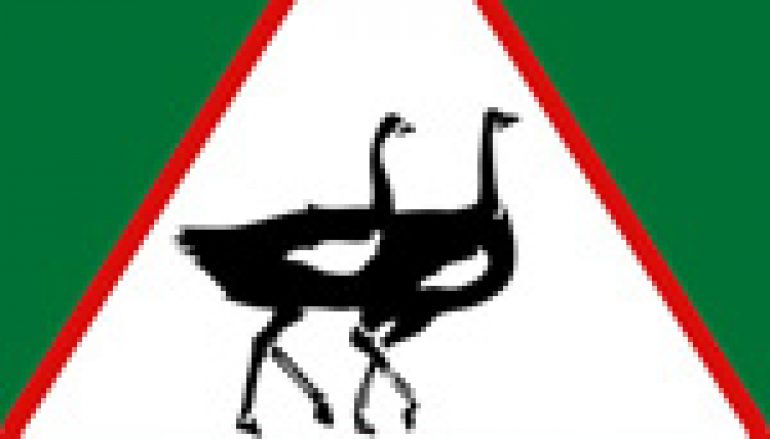 „Polska biega” – Nadleśnictwo Wichrowo także!