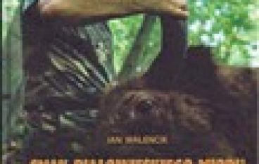 Smak białowieskiego miodu