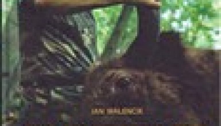 Smak białowieskiego miodu