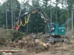 Jakie stawki za usługi leśne w przyszłym roku?