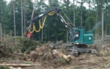 Jakie stawki za usługi leśne w przyszłym roku?