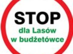 STOP dla Lasów w budżetówce – profil na Facebook