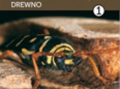 Atlas owadów uszkadzających drewno (tom 1. i 2.)