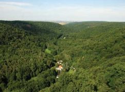 Z zagranicy – 02/2011