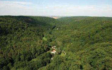 Z zagranicy – 02/2011