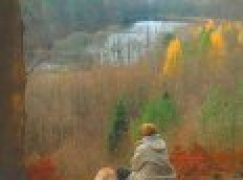 Nadleśnictwo Kartuzy