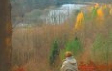 Nadleśnictwo Kartuzy