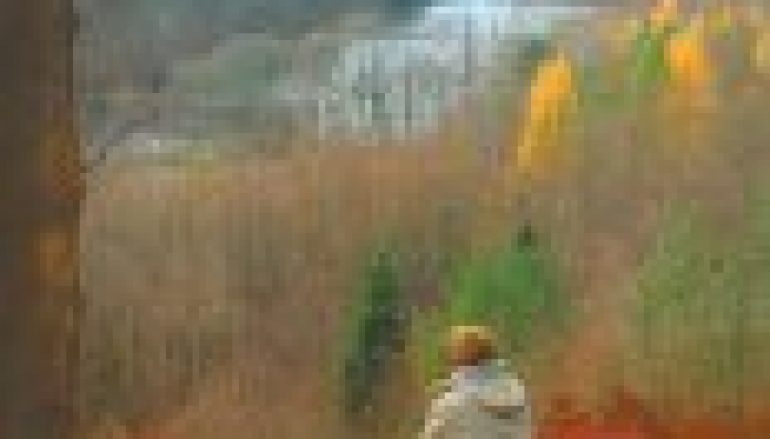 Nadleśnictwo Kartuzy