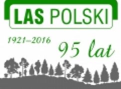 „Las Polski” ma 95 lat!
