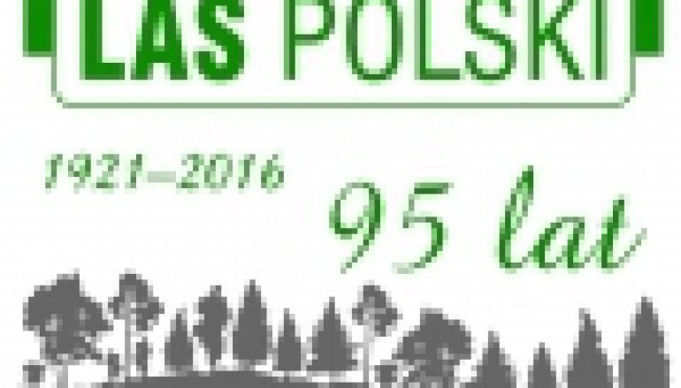 „Las Polski” ma 95 lat!