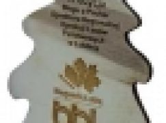 RDLP w Lublinie – Biegam, bo lubię lasy