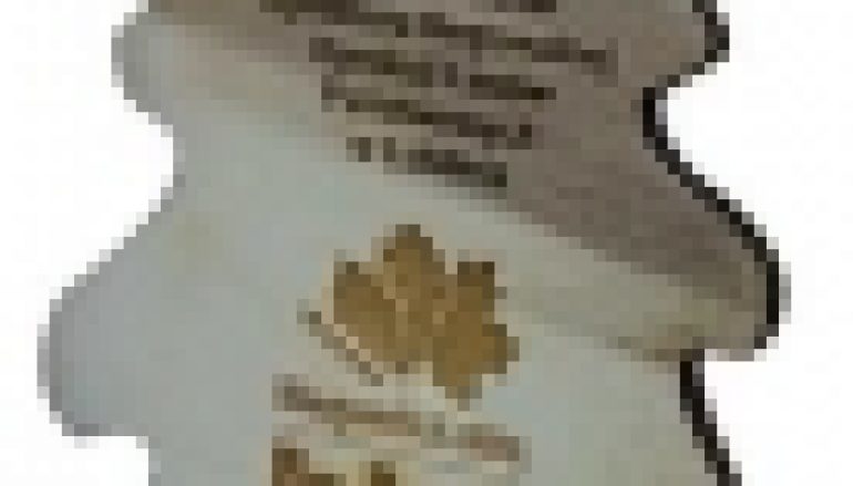 RDLP w Lublinie – Biegam, bo lubię lasy