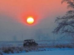 Jakie auto do pracy w lesie?