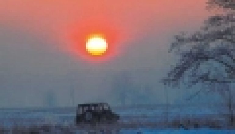 Jakie auto do pracy w lesie?