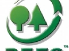 PEFC – Certyfikacja zul?