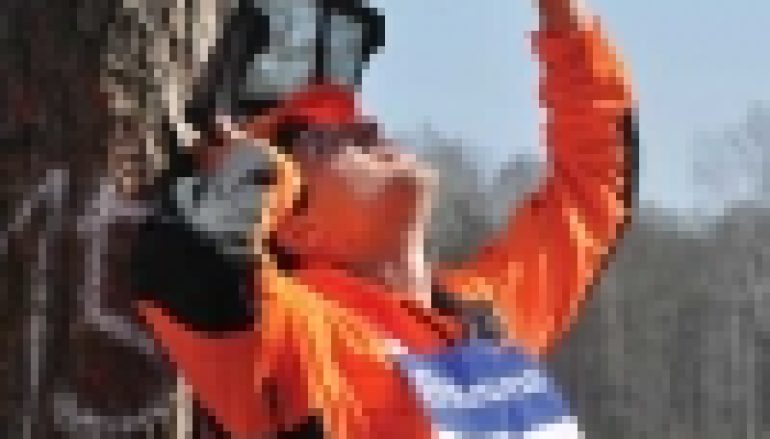 Technika leśne – Moc natury kontra mistrzowskie rżnięcie