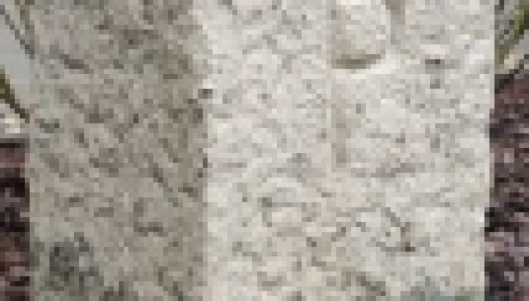 Wydarzenia – Mało znana wojna graniczna