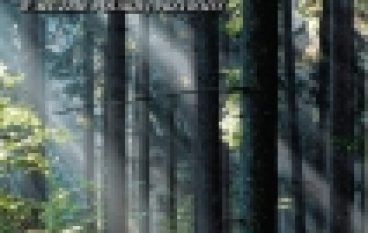 Urządzanie lasu w służbie polskiej przyrody