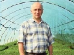 Prywatna szkółka – jaki to biznes?