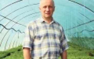 Prywatna szkółka – jaki to biznes?