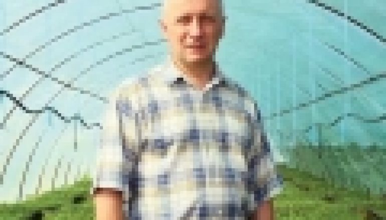 Prywatna szkółka – jaki to biznes?