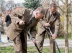 Święto Lasu – Piła pod znakiem brekinii