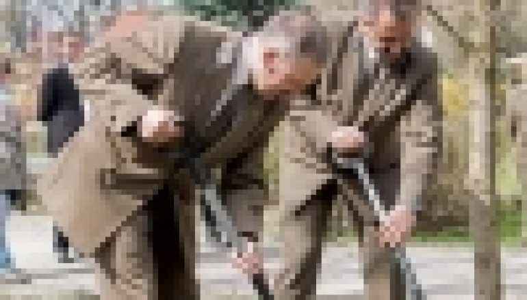 Święto Lasu – Piła pod znakiem brekinii