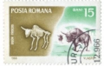 Prażubr – czy istniał naprawdę? (19/2018)