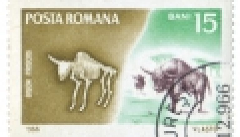 Prażubr – czy istniał naprawdę? (19/2018)