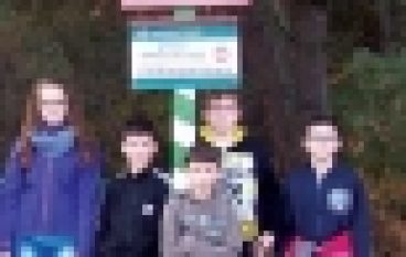 Nadleśnictwo Chotyłów – Zwycięski blog