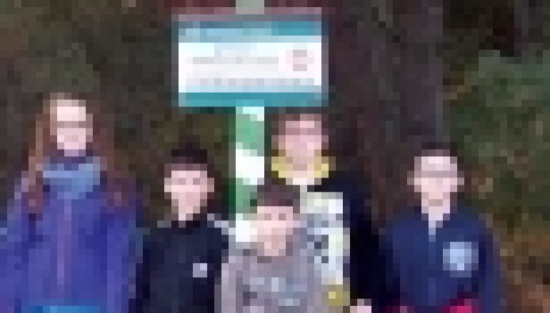 Nadleśnictwo Chotyłów – Zwycięski blog