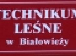 Białowieża zaprasza absolwentów