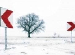 O potrzebie tworzenia Narodowego Programu Leśnego