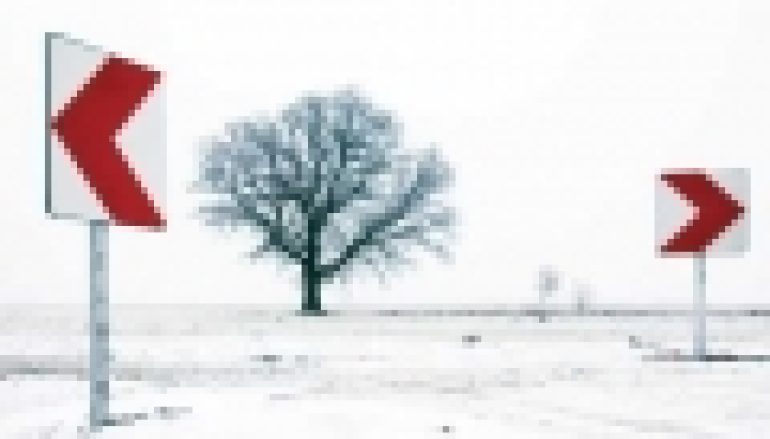 O potrzebie tworzenia Narodowego Programu Leśnego