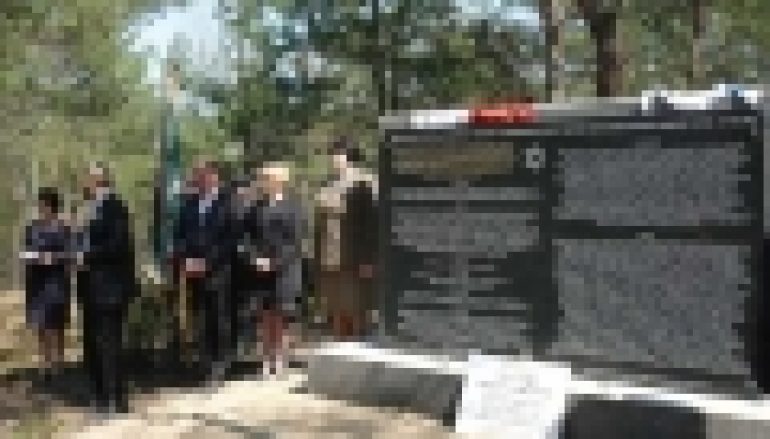 Nadleśnictwo Turek – Lekcja historii z lasami w tle