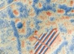 Nauka – Archeologia w Borach Tucholskich