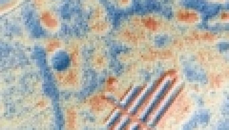 Nauka – Archeologia w Borach Tucholskich