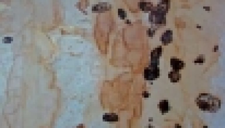 Wystawa „Mgnienia z Natury” – Artystyczny duet